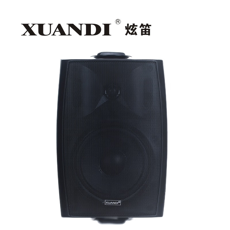 FT-205壁挂音响会议室商场扬声器音乐广播喇叭室内教室店铺定压音箱30W壁挂喇叭 FT-205黑色