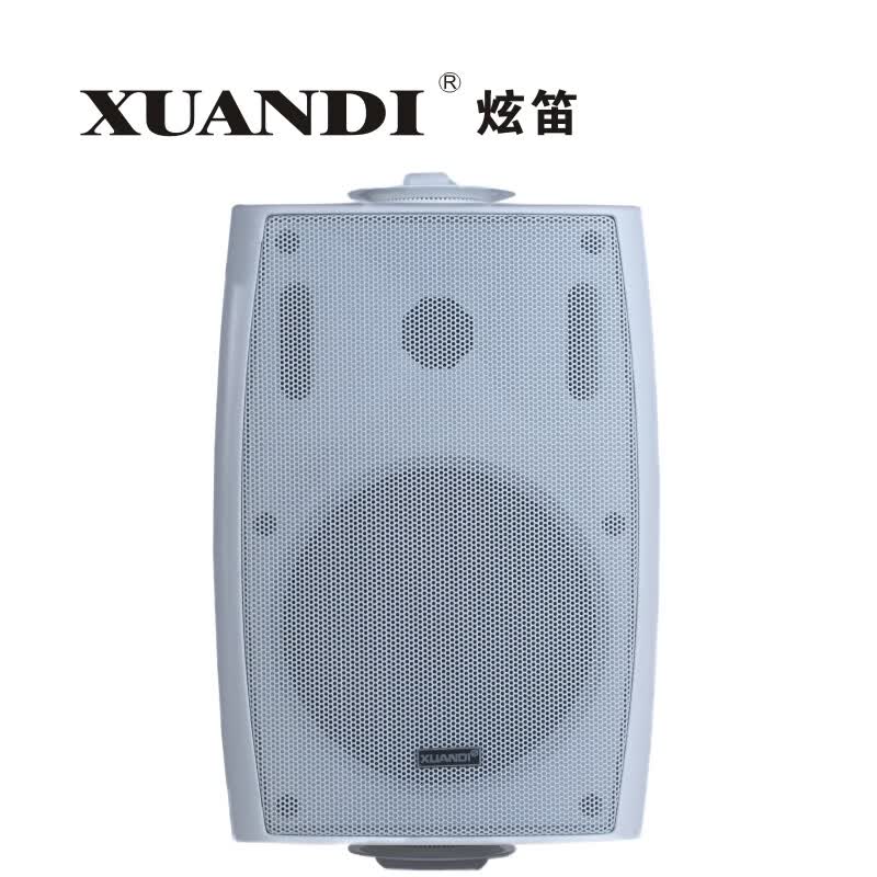 FT-206壁挂音响会议室商场扬声器音乐广播喇叭室内教室店铺定压音箱40W壁挂喇叭 FT-206白色