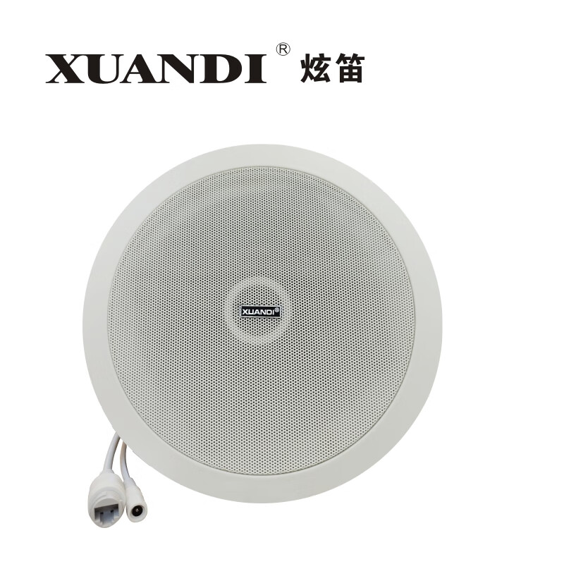 （xuandi）IP-20WX IP网络广播吸顶喇叭嵌入式天花吊顶音箱 POE网络吸顶壁挂喇叭音箱 IP-20WX