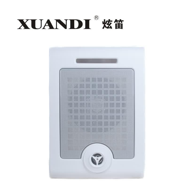 WS-628C室内壁挂音响校园公共广播教室店用挂壁式音箱背景音乐喇叭 WS-628C