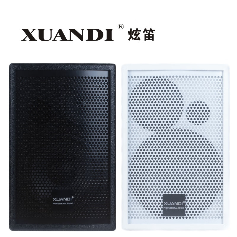 XD-601 专业中小型会议室音响套装舞蹈教学培训室专用 XD-601