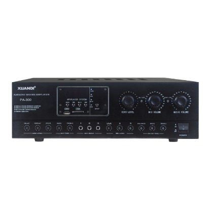 炫笛 PA-300